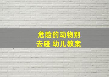 危险的动物别去碰 幼儿教案